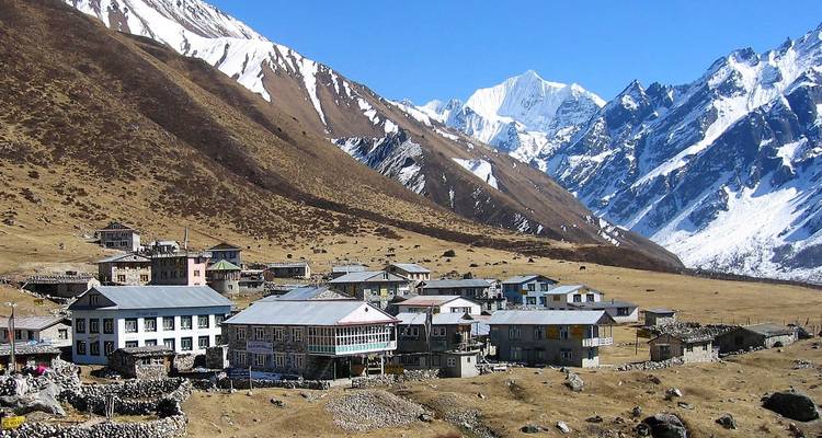 Langtang Valley Trek for 2025/2026 - Himalaya Heart Treks & Expedition[P] Ltd  6