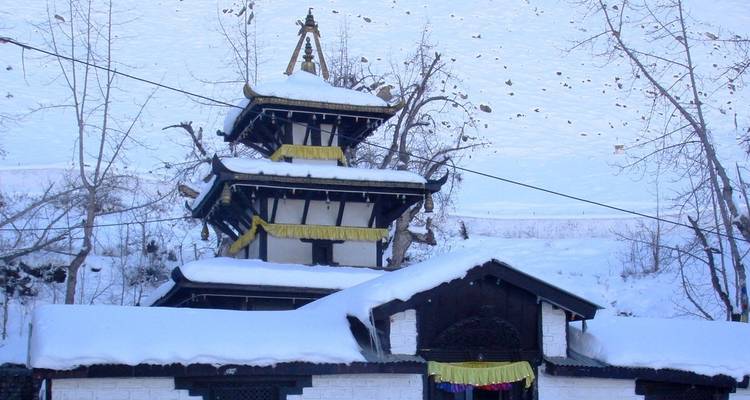 Peregrinación a Muktinath - 7 días - Himalayan Adventure Treks & Tours 8