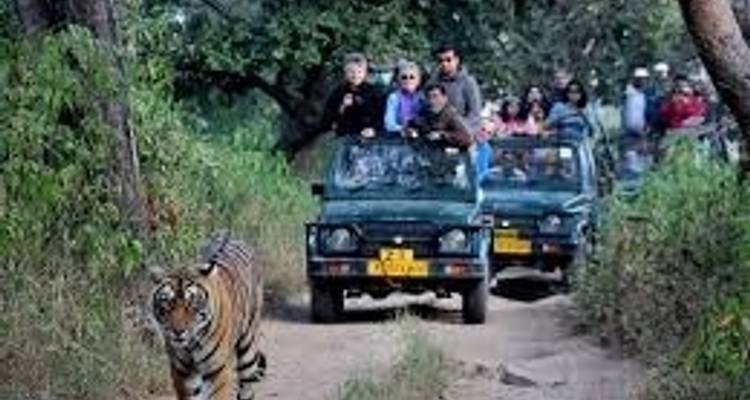 Triangle d'or Delhi Agra Jaipur avec le parc national de Ranthambore - K K Holidays N Vacations  1