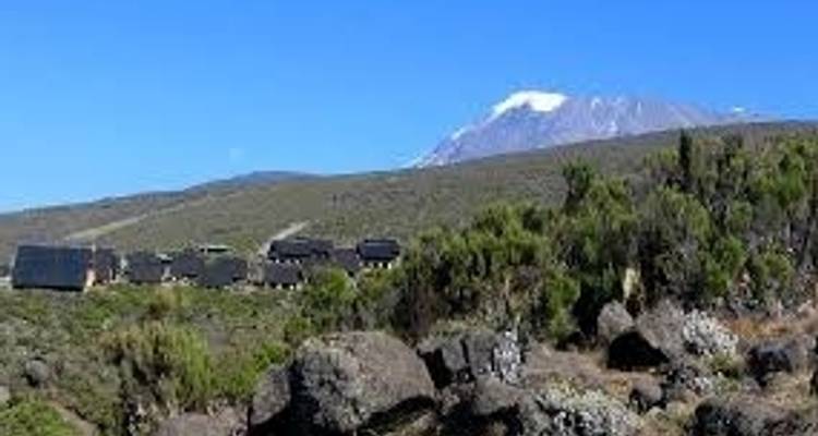 7 Days Kilimanjaro climbing  Marangu Route - Wild Root Safaris & Adventures 1