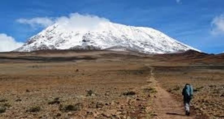 7 Days Kilimanjaro climbing  Marangu Route - Wild Root Safaris & Adventures 3