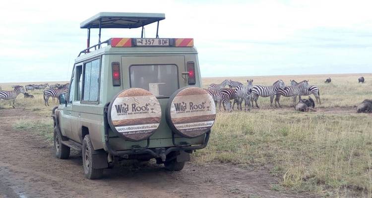 4 Days Tanzania Budget Camping Safari - Wild Root Safaris & Adventures 2