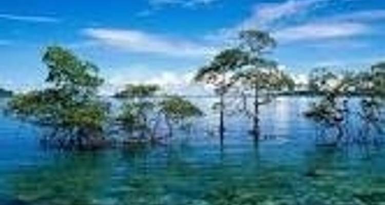 Circuit de 9 jours dans les îles Andaman et Nicobar de l'Inde :  Les joyaux de l'océan Indien - IHCT Heritage & Adventure  Tours 10