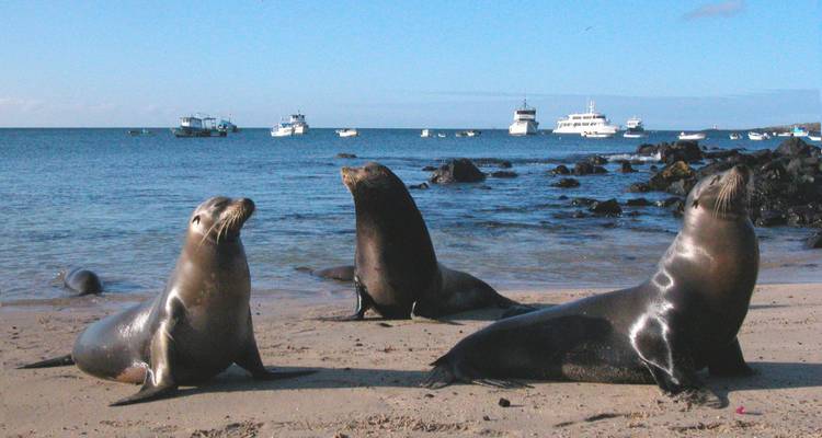 7 jours aux Galápagos : visite complète des îles - Rebecca Adventure Travel 4