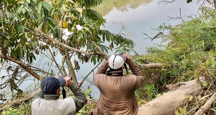 Observation des oiseaux au Népal - Parc national de Bardiya - Swotah Travel and Adventure 6
