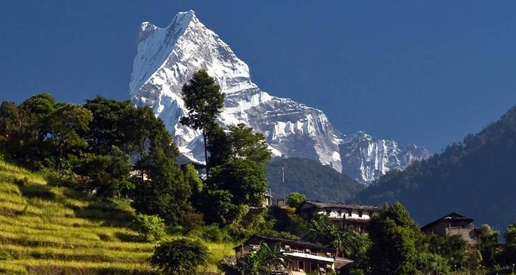 Trek de Ghorepani Poon Hill - 8 jours - Glorious Himalaya Trekking Pvt. Ltd. 3