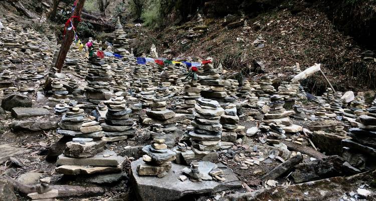 Trek de Ghorepani Poon Hill - 8 jours - Glorious Himalaya Trekking Pvt. Ltd. 10