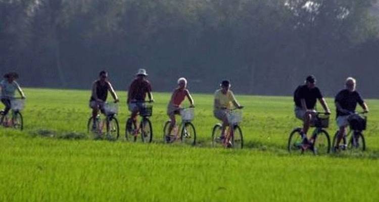 Essence 10 Days in Vietnam from North, Central down South - Vietnam Real Tour 9