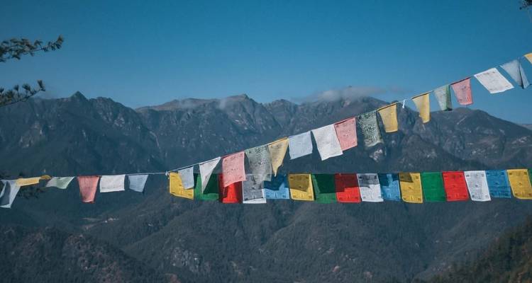 Viajes culturales a Nepal, Tíbet y Bután - Friendship Nepal Tours & Travels P. Ltd. 9