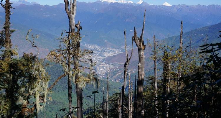 Bhutan Thousand Lakes Trek - World Tour Plan 6