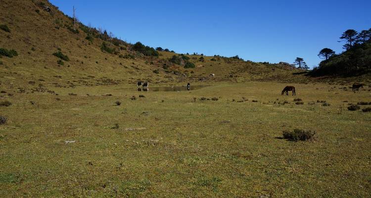 Bhutan Thousand Lakes Trek - World Tour Plan 3