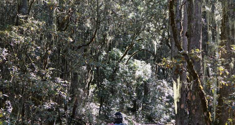 Bhutan Thousand Lakes Trek - World Tour Plan 10