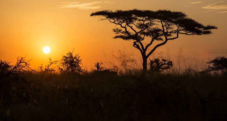 Afrique de l'Est par voie terrestre : Serengeti et Safari Drives - G Adventures 6