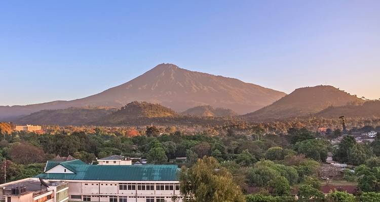 El Monte Meru se alza sobre la ciudad de Arusha con un exuberante primer plano verde bajo la luz clara del amanecer.