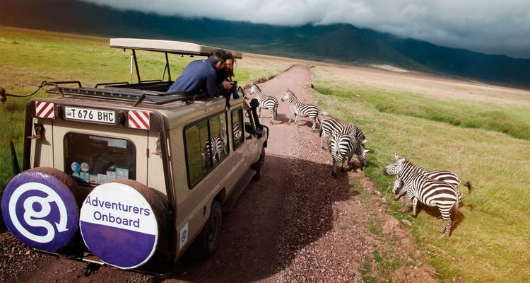 Los viajeros se asoman desde una camioneta de safari para fotografiar cebras a lo largo de un camino de tierra en Ngorongoro.