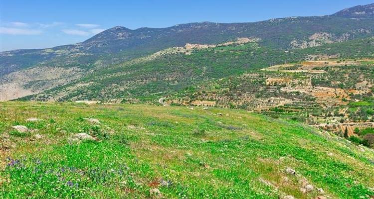 Israel y Jordania en 15 días - Booking Tours 7