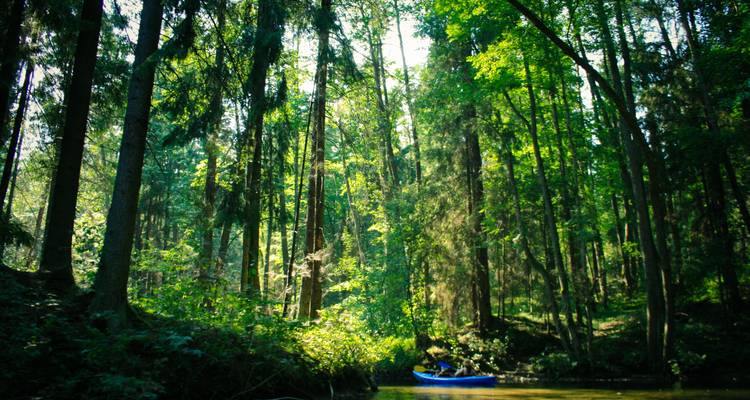 Recorrido multiactividad por bosques y lagos - LitWild 6