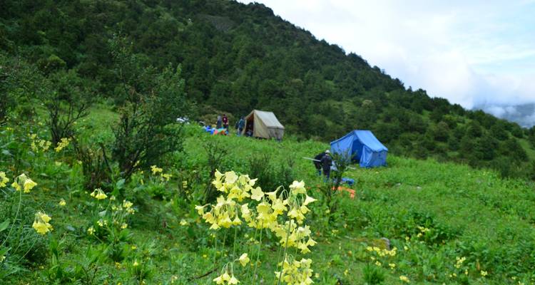 Bumdrak Trek with Taktsang Monastery - World Tour Plan 4