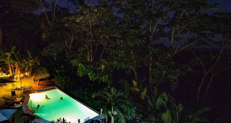 Swimming pool at night with people in the water, surrounded by trees.
