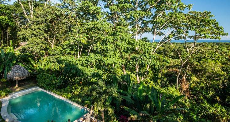 Aerial view of a swimming pool surrounded by jungle with the ocean in the background.