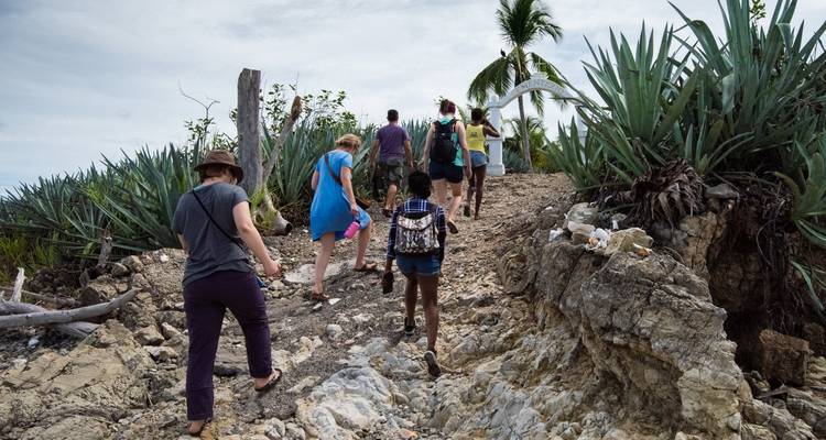 Group of people hiking on a rocky path surrounded by plants.