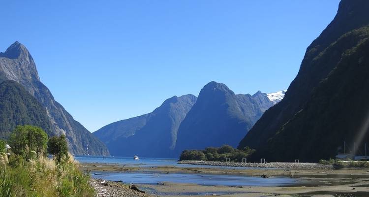 The Whole Kit & Caboodle Hop-On Hop-Off Bus - Kiwi Experience 1