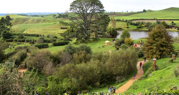 Sheepdog Hop-On Hop-Off Bus Pass - Kiwi Experience 2