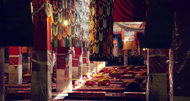 5 Days Lhasa & Yamdrotso Lake  Group Tour - Great Tibet Tour 6