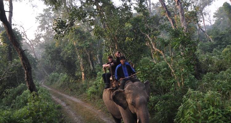 Trek de Ghorepani Poonhill et safari dans la jungle - Himalaya Heart Treks & Expedition[P] Ltd  4