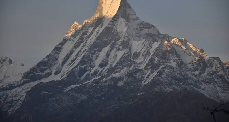 Trek de Ghorepani Poonhill et safari dans la jungle - Himalaya Heart Treks & Expedition[P] Ltd  3