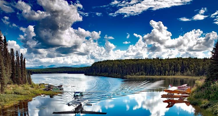 Le meilleur de la nature : l'Alaska avec la croisière en Alaska - Globus 7