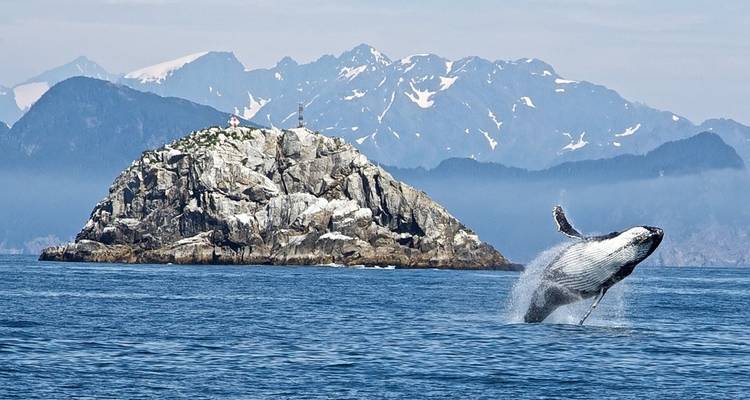 Le meilleur de la nature : l'Alaska avec la croisière en Alaska - Globus 2