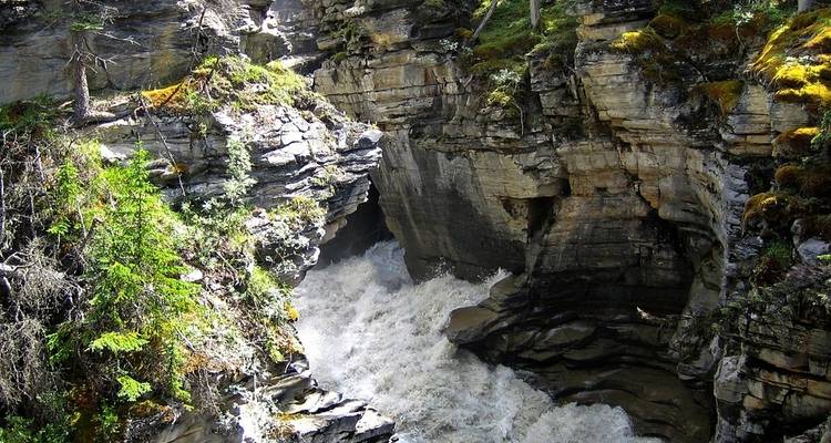 Le parc national des Glaciers et les Rocheuses canadiennes - Globus 8