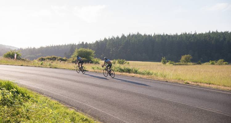 Ruta en bici de 6 días por las islas San Juan - ¡Itinerario nuevo y mejorado! - Bicycle Adventures 6