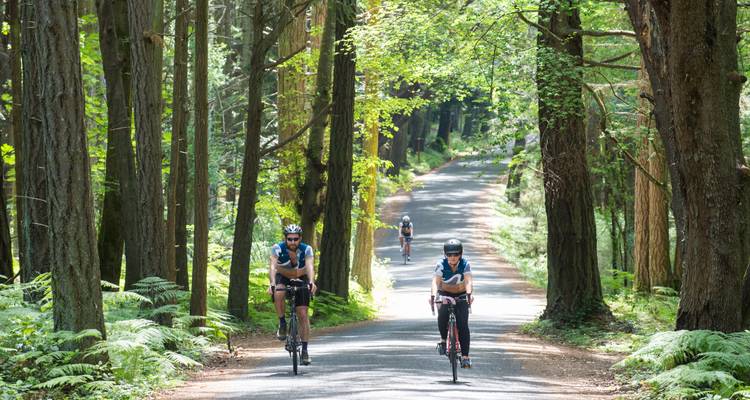 Ruta en bici de 6 días por las islas San Juan - ¡Itinerario nuevo y mejorado! - Bicycle Adventures 2