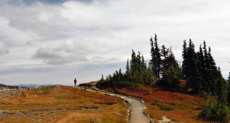 Del monte Rainier al monte Hood - Bicycle Adventures 3