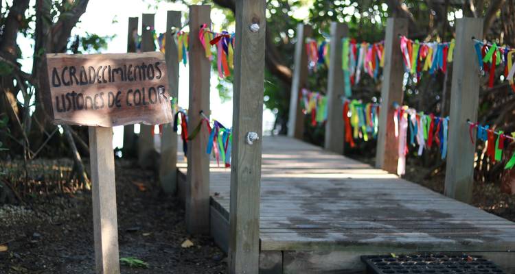Circuit Escena Veracruz, Tajin et Papantla - Tours y Tickets  9
