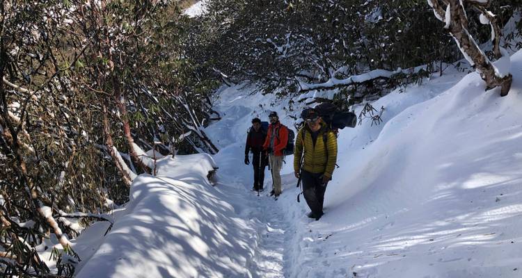 Mardi Himal Trek (Original) - Swotah Travel and Adventure 6