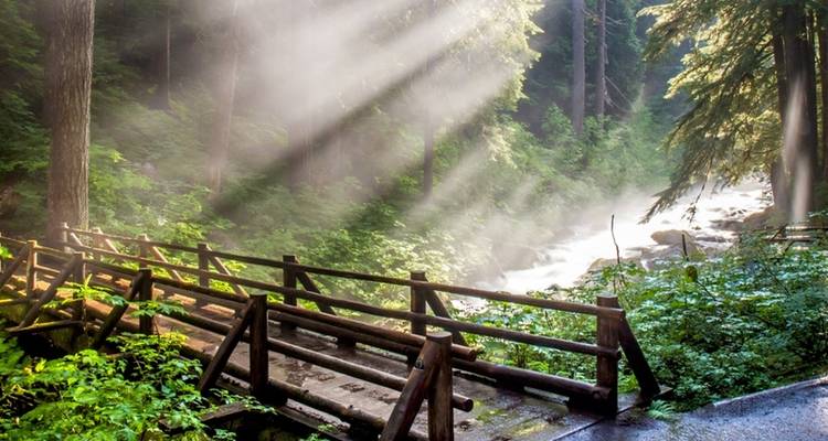Parc national olympique et Discovery Trail Bike Tour - Nouvel itinéraire ! - Bicycle Adventures 6