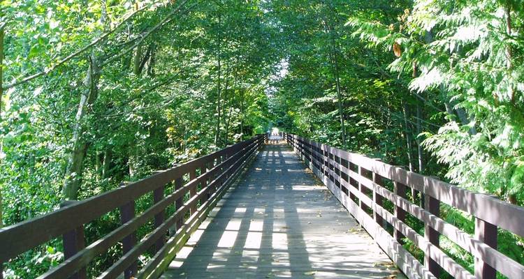 Parc national olympique et Discovery Trail Bike Tour - Nouvel itinéraire ! - Bicycle Adventures 7