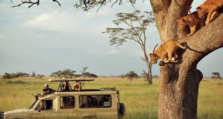 6 días - Safari por el Norte de Tanzania - Youth Adventures & Safaris 1
