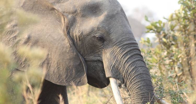 6 días - Safari por el Norte de Tanzania - Youth Adventures & Safaris 6