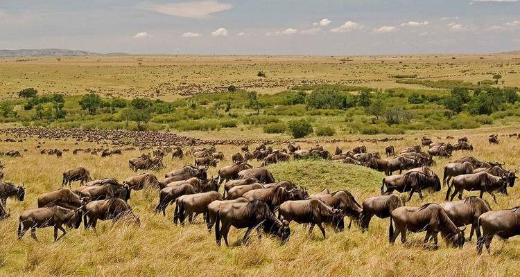 6 días - Safari por el Norte de Tanzania - Youth Adventures & Safaris 2