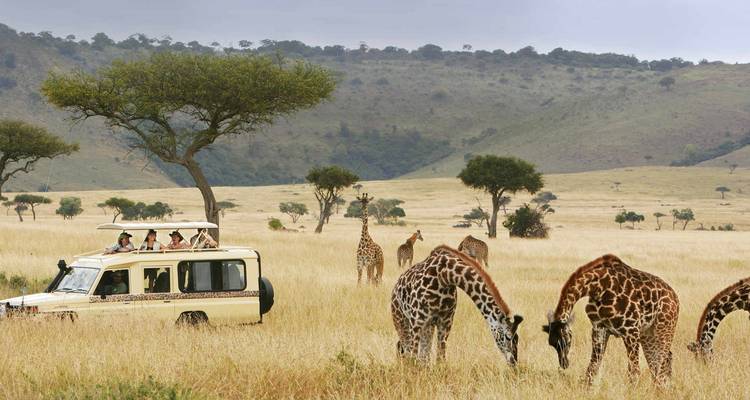 6 días - Safari por el Norte de Tanzania - Youth Adventures & Safaris 3