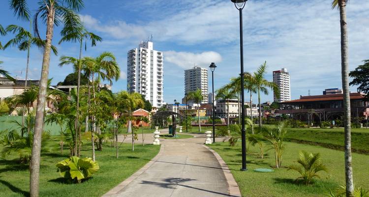 Green city park with palm trees leading toward modern high-rise buildings under a partly cloudy sky.