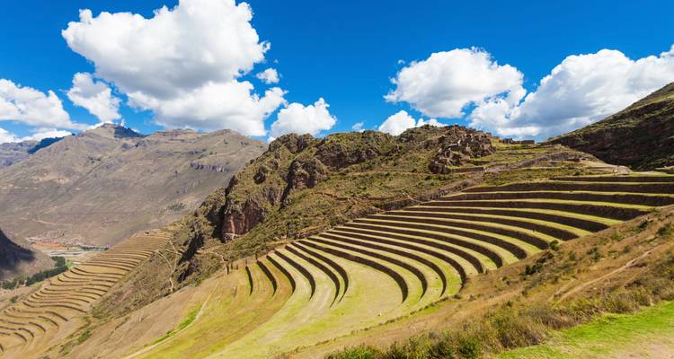 Uitgestrekte Inca landbouwterrassen van Pisac uitgehouwen in groene berghellingen onder een blauwe hemel.
