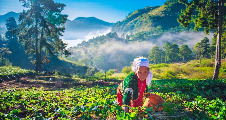 Vacances fantastiques en Thaïlande 12 jours/11 nuits - Nhat Long Travel Company 1