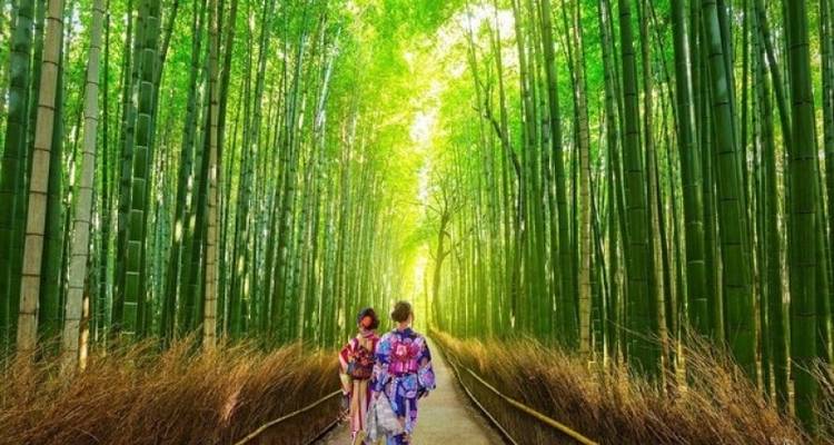 SPLENDOURS OF JAPAN - Tweet World Travel 2