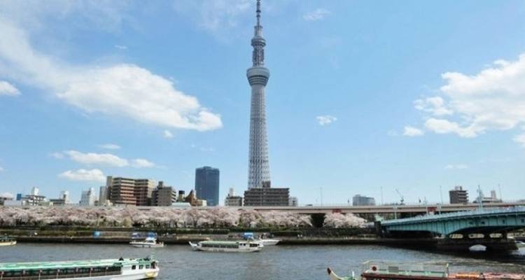 SPLENDOURS OF JAPAN - Tweet World Travel 6