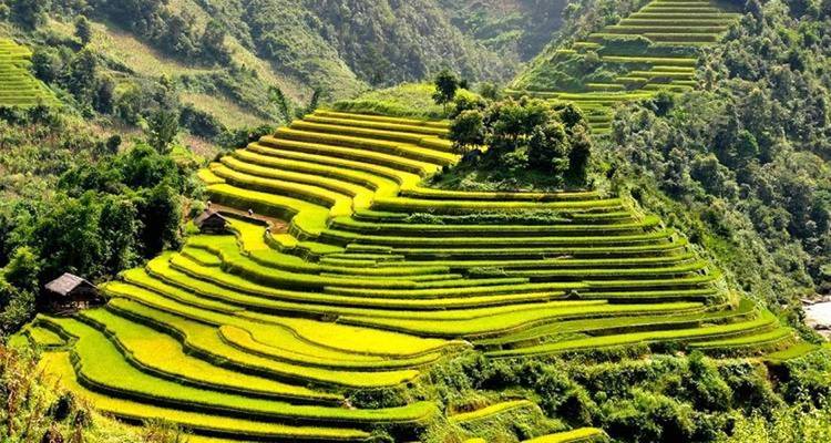 Experiencia real en Sapa 6 días - Nhat Long Travel Company 1